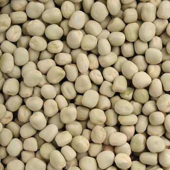 豆太(●´ω｀●)　ブレンド20 珈琲 :: ブレンドコーヒー :: 濃厚な味わいのブレンドコーヒー :: 豆太