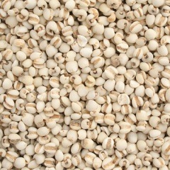 �Ϥ��� �ڥ������ۡڥ᡼�����б�/1��1kg�ޤǡ�