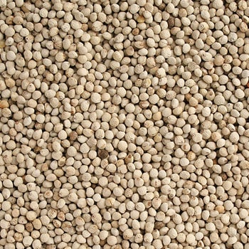 ������ ����񻺡�