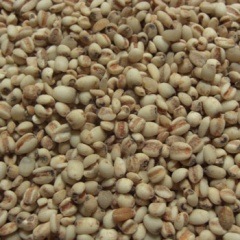 �Ϥ��� ���纬�����ۡڥ᡼�����б�/1��1kg�ޤǡ�