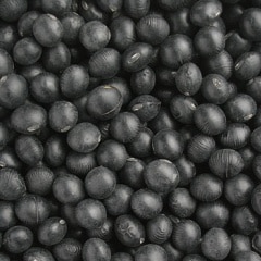 ȡ�۹�Ʀ (3.0���)  ������7ǯ���̳�ƻ����