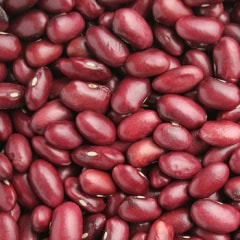 ������� ������7ǯ���̳�ƻ����