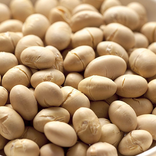 上野アメ横で創業60年・豆・乾物の専門店・松葉屋です。秋田県産の