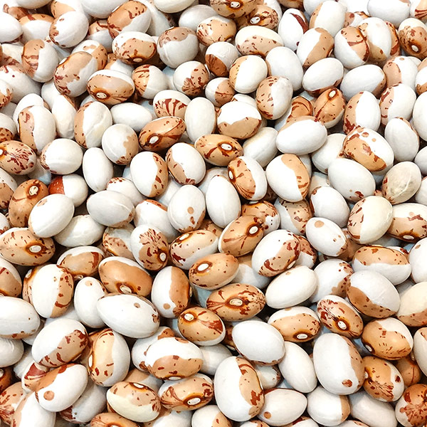 ��Ʀ  ������4ǯ���̳�ƻ����