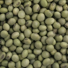 �Ҥ���Ʀ 3.0ʬ���  �ڵܾ븩����