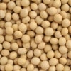Ʀ 2.8ʬ <30kg>6ǯĿ