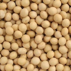 ��̼��Ʀ  ������7ǯ���̳�ƻ����