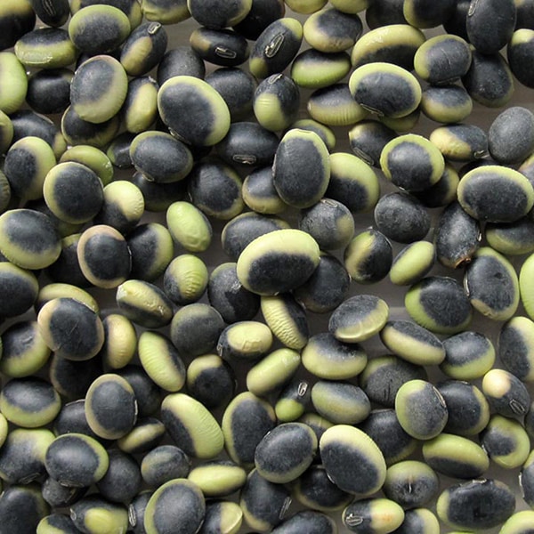 ���餫��Ʀ  ��Ĺ�����