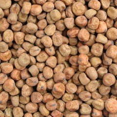 �֤���ɤ�Ʀ  ������7ǯ �̳�ƻ����