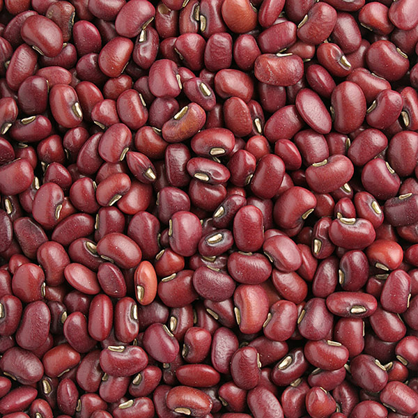 ������  ����񻺡�