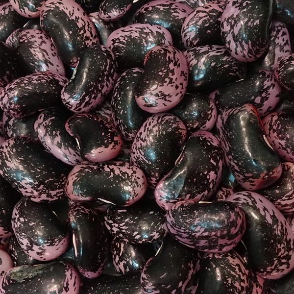 �⸶��Ʀ  �ڷ��ϸ�����¼����