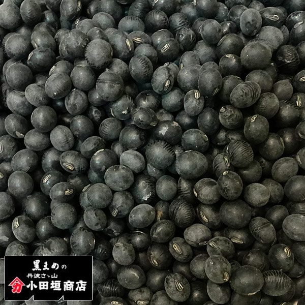  �Ṿ��Ʀ  ������6ǯ���츩����