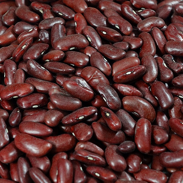 ��åɥ��ɥˡ� (�֤��󤲤�Ʀ)  �ڥ���ꥫ����