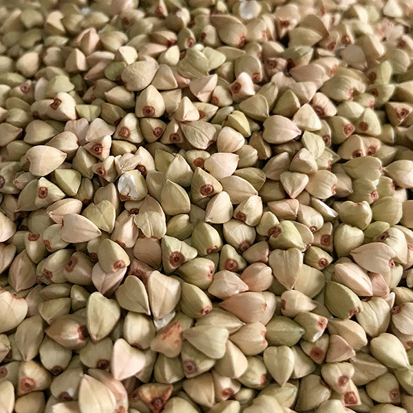 そばの実 <20kg> 【北海道産】