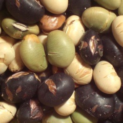 ��������Ʀ  �ڹ񻺡�