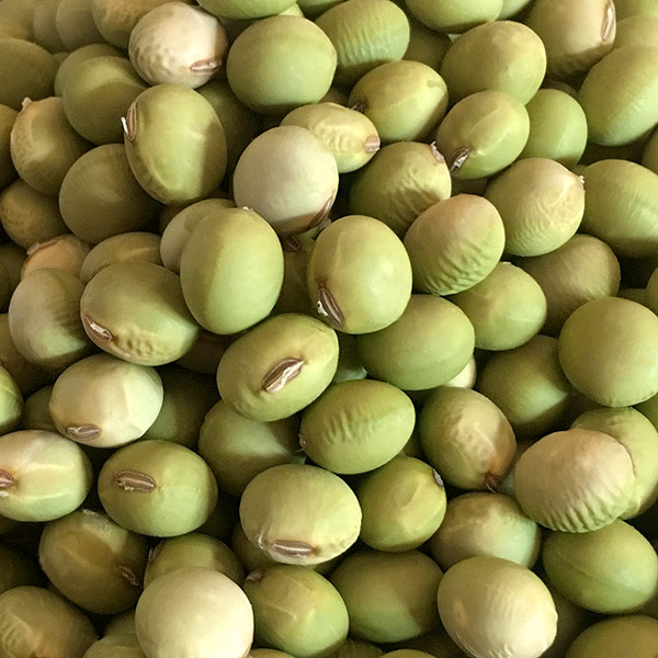 ����Ʀ ��γ  ������7ǯ������������