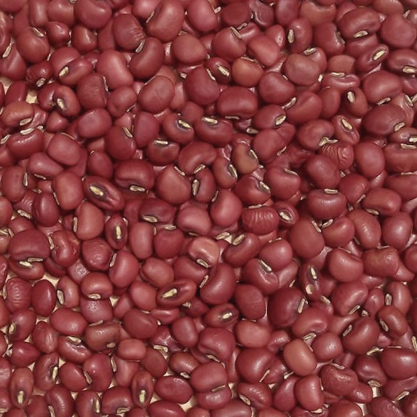 �������ޤ�����  ������ ������7ǯ ����������