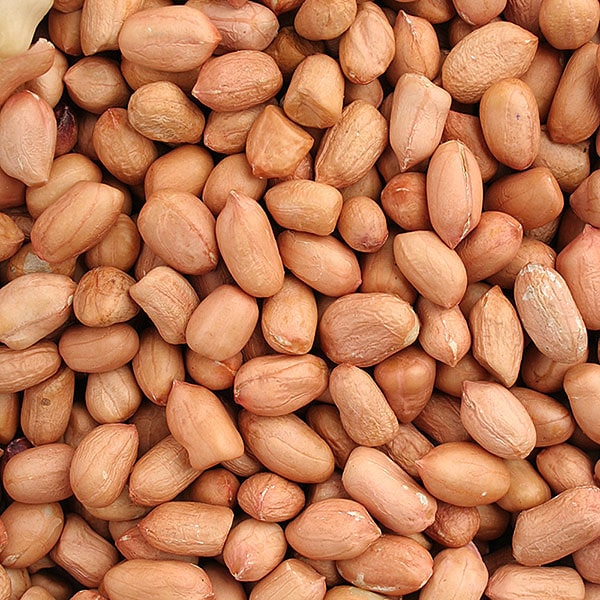 ���ԡ��ʥå� (��γ) ����񻺡ۡڥ᡼�����б�/1��1kg�ޤǡ�