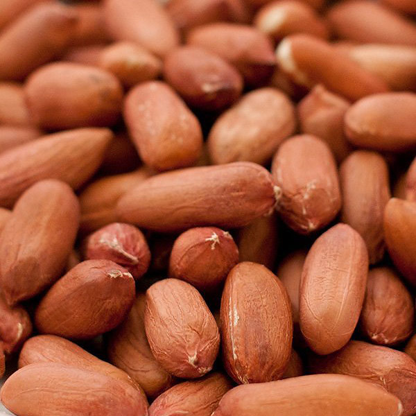 ���ԡ��ʥå� (500g) ������7ǯ�������ո����ۡڥ᡼�����б�/1��1kg�ޤǡ�