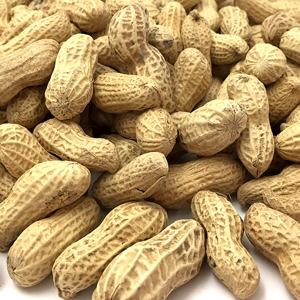 ���դ�������ԡ��ʥå� (�����) ����7ǯ�������ո�Ȭ������