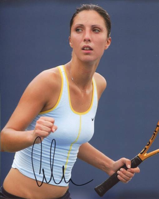 ���ʥ����������ߥ�����ľɮ����������̿��������������ҥץ��ƥ˥������UACCRD�ʵ��ݾ�