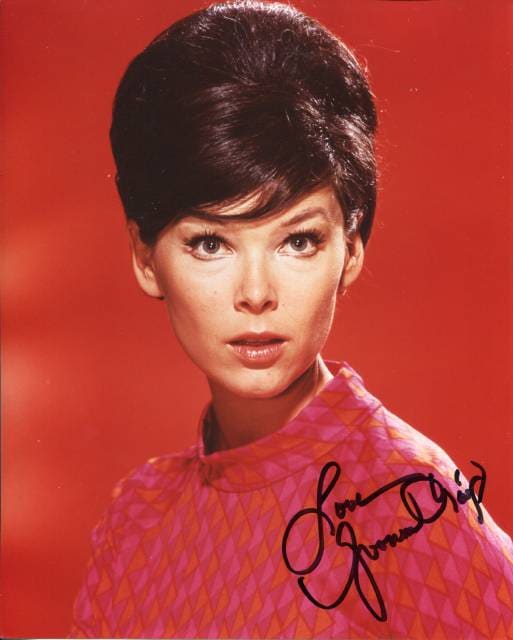 ��������̡����쥤��ľɮ����������̿�����Ļ�ʹ֥Хåȥޥ��UACCRD�ʵ��ݾ�+�ܿͼ̿���