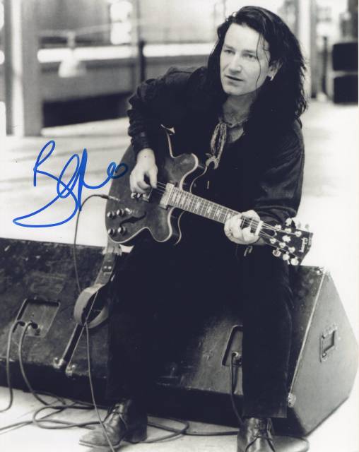 �ܥΡ�Bono)ľɮ����������̿���U2-�꡼�ɥܡ������UACCRD�ʵ��ݾ�