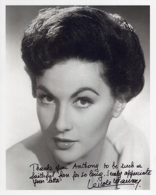 ˥롦⡼쥤ľɮ̿ե󥹽ͥ/󥫲/ȥեɤ SOSUACCRDʵݾ