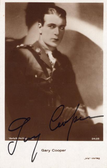 ꡼ѡľɮݥȥɢηƮ/å/衼/ĶʢUACCRDʵݾ