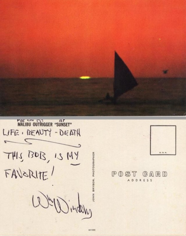 �����ꥢ�ࡦ���������ľɮ����������ݥ��ȥ����ɢ������������/������UACCRD�ʵ��ݾ�