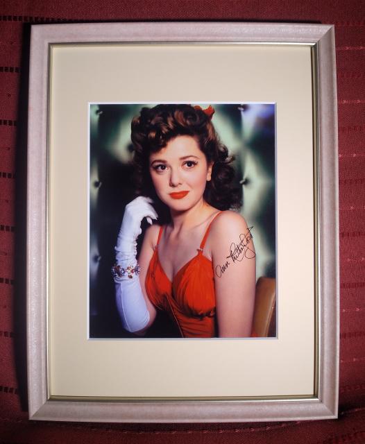 �۱���⡼����Ĵ�ԥ󥯥ե졼�� (25��20cm�̿��ѥޥå��դ�)