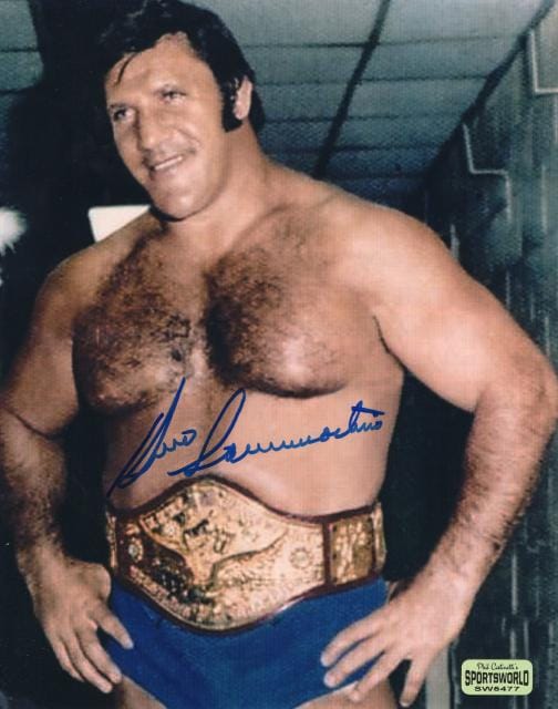 �֥롼�Ρ�����ޥ����ľɮ����������̿���̾�ץ��쥹�顼/MSG���벦/�ʹ�ȯ�Ž��UACCRD�ʵ��ݾ�