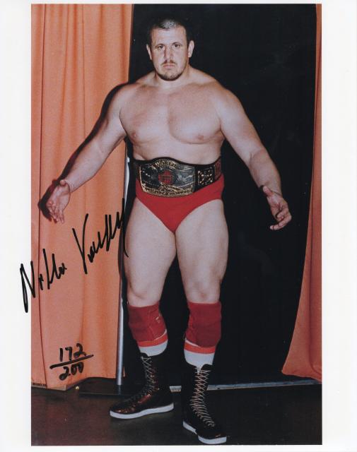 ˥饤ܥ륳ľɮ̿WWWFץ쥹顼/򷧡UACCRDʵݾ