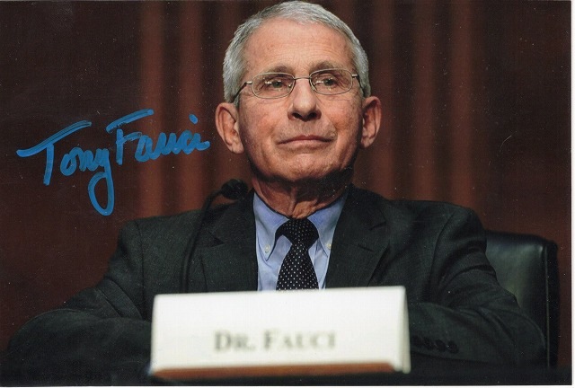 󥽥ˡեľɮ̿ƹ񿷷ʥ륹кȡUACCRDʵݾ