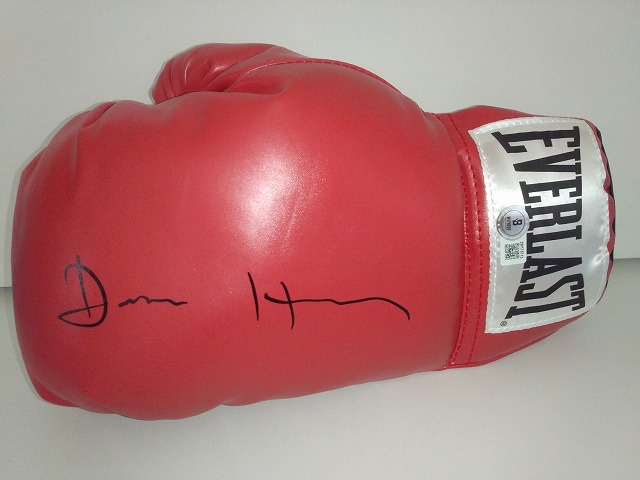 �ǥ����󡦥إ��ˡ�ľɮ����������ܥ����󥰥������֢����ܥ���������2�������Ʋ��ԡ�UACCRD�ʵ��ݾ�