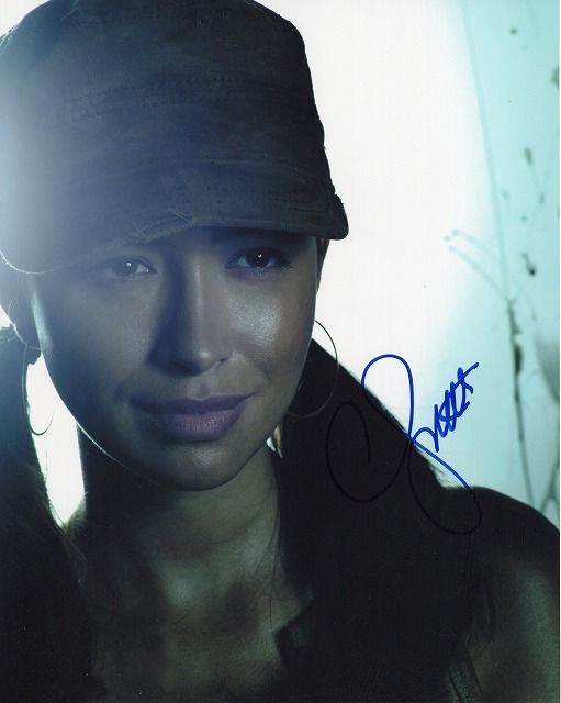 ꥹ󡦥ȥľɮ̿󥰥ǥåɡUACCRDʵݾ