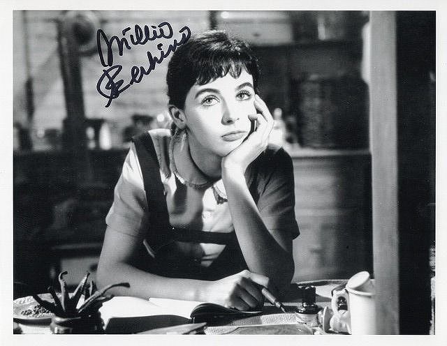 �ߥ꡼���ѡ�����ľɮ����������̿�������ͤ�����/��ε����UACCRD�ʵ��ݾ�