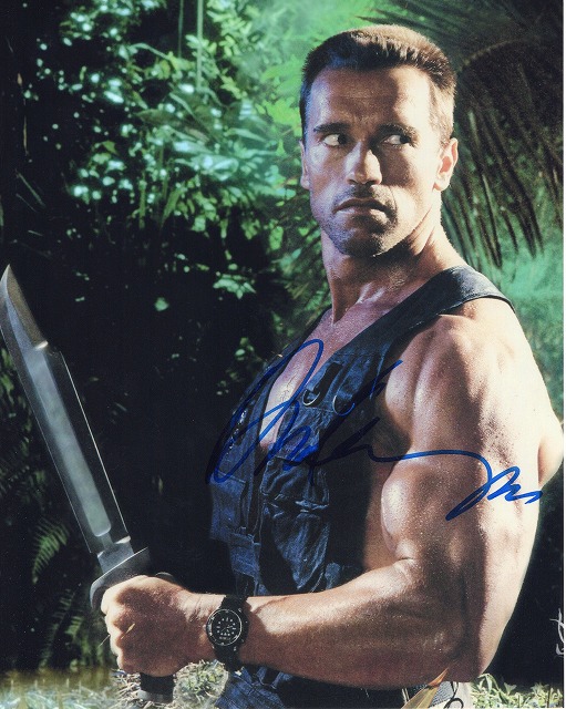 �����Υ�ɡ�������ĥ��ͥå���ľɮ����������̿����ץ�ǥ�����UACCRD�ʵ��ݾ�