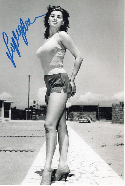 ���ե������������ľɮ����������̿��������ꥢ̾��ͥ��UACCRD�ʵ��ݾ�