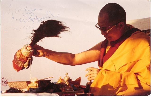 ���饤�����14��ľɮ����������̿������٥åȺǹ��Ƴ��/�Ρ��٥�ʿ�¾�/���������ƥ��UACCRD�ʵ��ݾ�