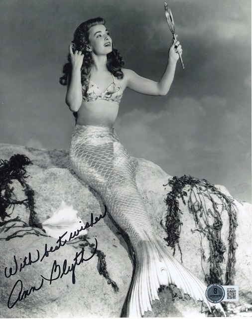 ���󡦥֥饤��ľɮ����������̿�����ȿ͵�/�ߥ�ɥ�åɡ��ԥ�������UACCRD�ʵ��ݾ�