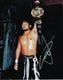 ������ľɮ����������̿���WWE�ץ��쥹�����ܿͥץ��쥹�顼��UACCRD�ʵ��ݾ�