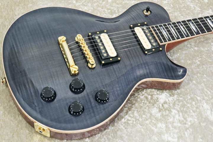 ギター FUJIGEN EXPERT FL EXPERT FL/FM/TBK