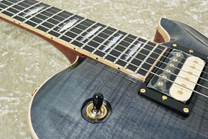 ギター FUJIGEN EXPERT FL EXPERT FL/FM/TBK