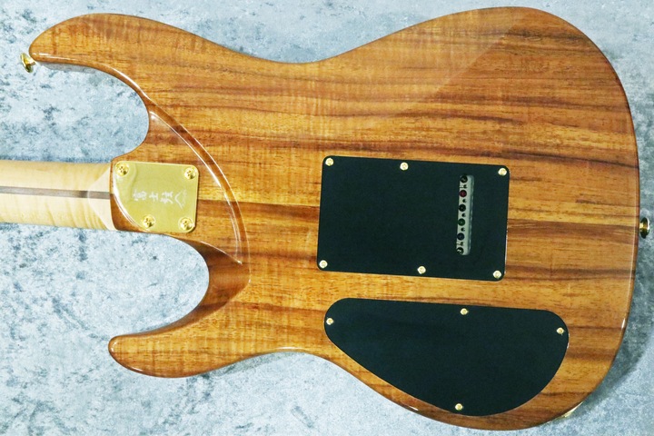 ギター FUJIGEN CUSTOMHOUSE OS-60M made in japan ギター FUJIGEN CUSTOMHOUSE OS-60M made in japan ギター FUJIGEN