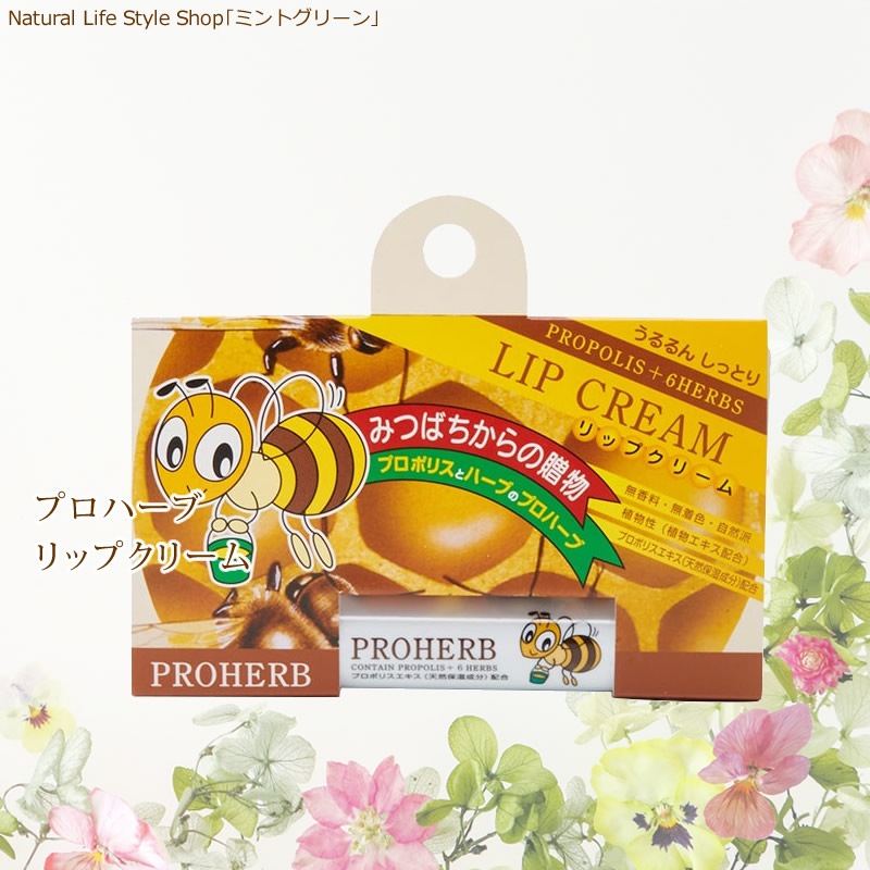 �ץ��ϡ��� ��åץ��꡼��