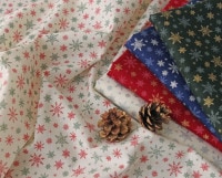 [PD]SWANY Produce ꥹޥåȥ󡦥ץ Snow Flakes [M 1/6]