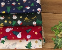 [PD]SWANY Produce ꥹޥåȥ󡦥ץ Snowman [M 1/6]