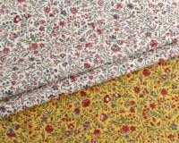 [Import]mftaBEAUCAIRE INDIENNE [M 1/4]