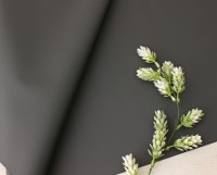 �ڥ��åȥ������ۥӥˡ���ù��ΥХå��ѥʥ����󡦥����� Marielle��[M�� NG]